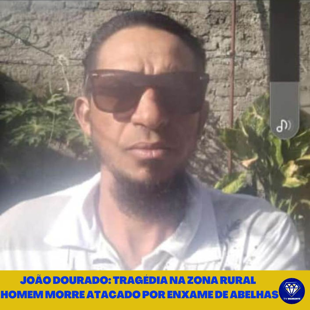 JOÃO DOURADO: Tragédia na zona rural  homem morre atacado por enxame de abelhas