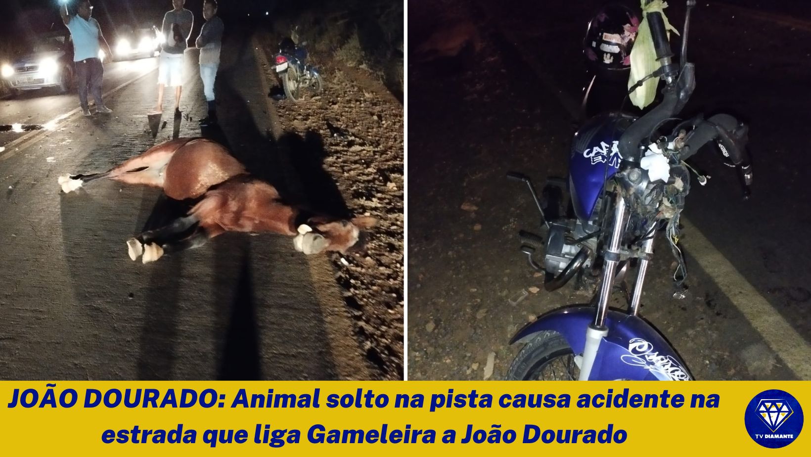 ​Animal solto na pista causa acidente na estrada que liga Gameleira a João Dourado